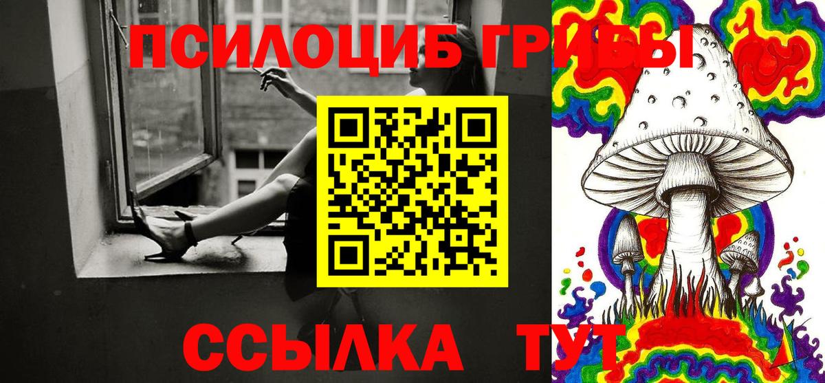 Псилоцибиновые грибы GOLDEN TEACHER Мценск