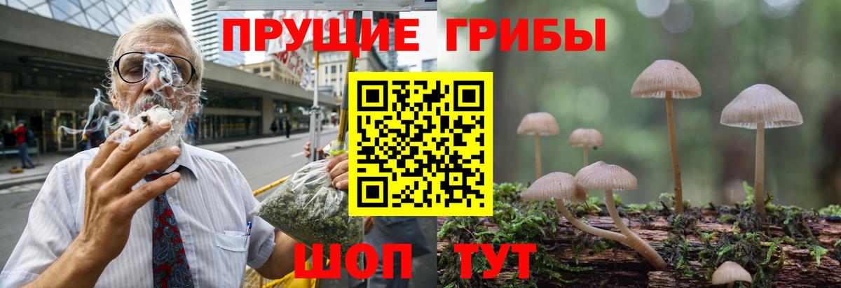 Галлюциногенные грибы GOLDEN TEACHER  Вход с VPN  Псилоцибиновые грибы Psilocybine cubensis  Мценск 